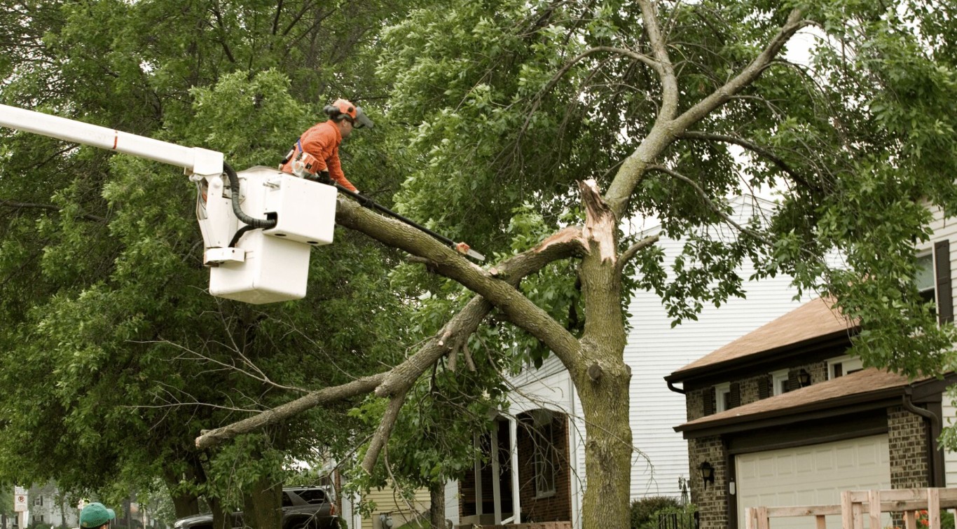 Commercial tree service using bucket truck for property maintenance in Cheyenne, WY