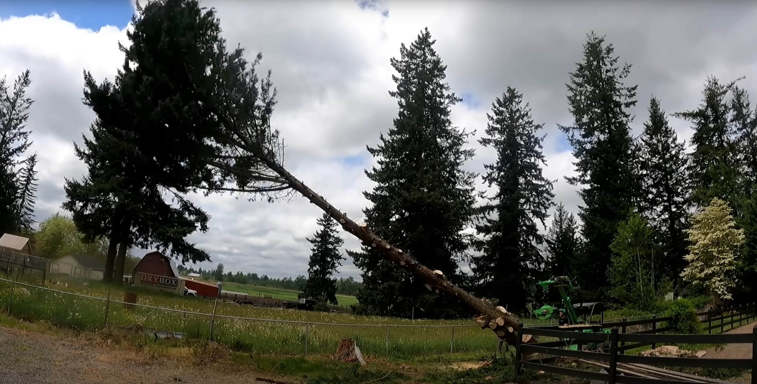 Hazardous & Large Tree Removal service in Cheyenne, WY