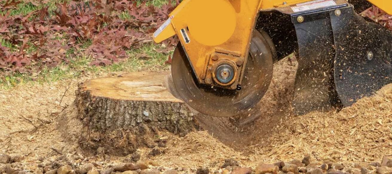 Professional stump grinding equipment removing tree stump in Cheyenne, WY